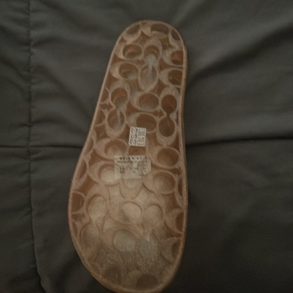 Coach slides - Picture 3 of 3
